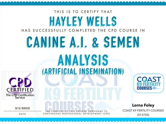 Certificate: canine A.I. and semen analysis