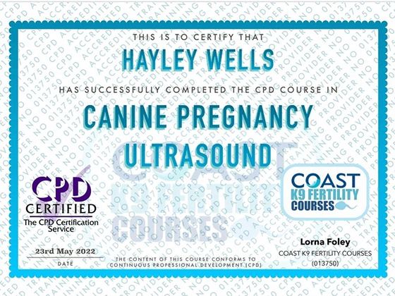 Certificate: canine pregnancy ultrasound