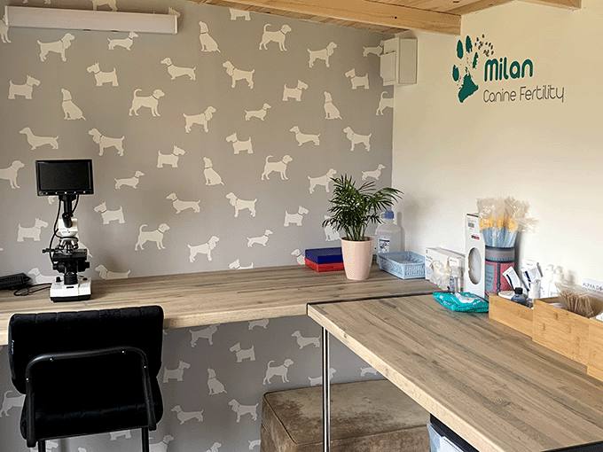 Clinic desk with microscope and ultrasound
