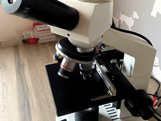 The clinic microscope