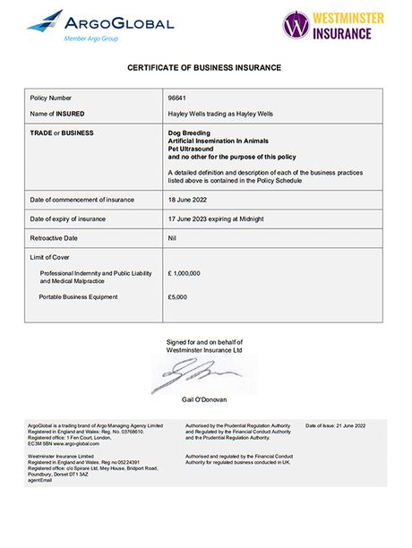 Certificate of business insurance